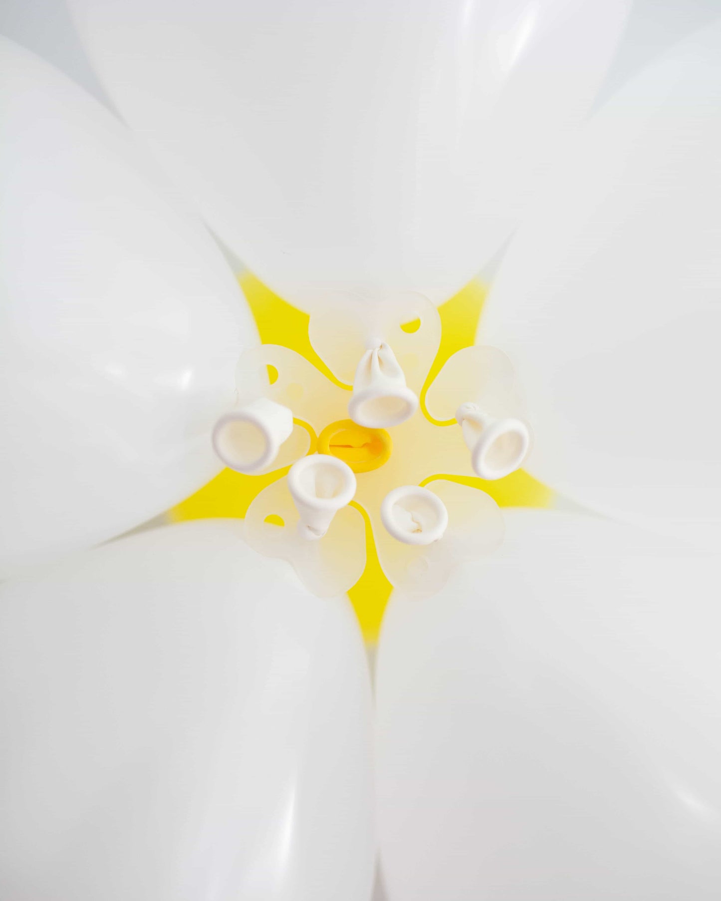 A close-up view of white shapes surrounding a bright yellow center with a small orange detail, resembling a flower.