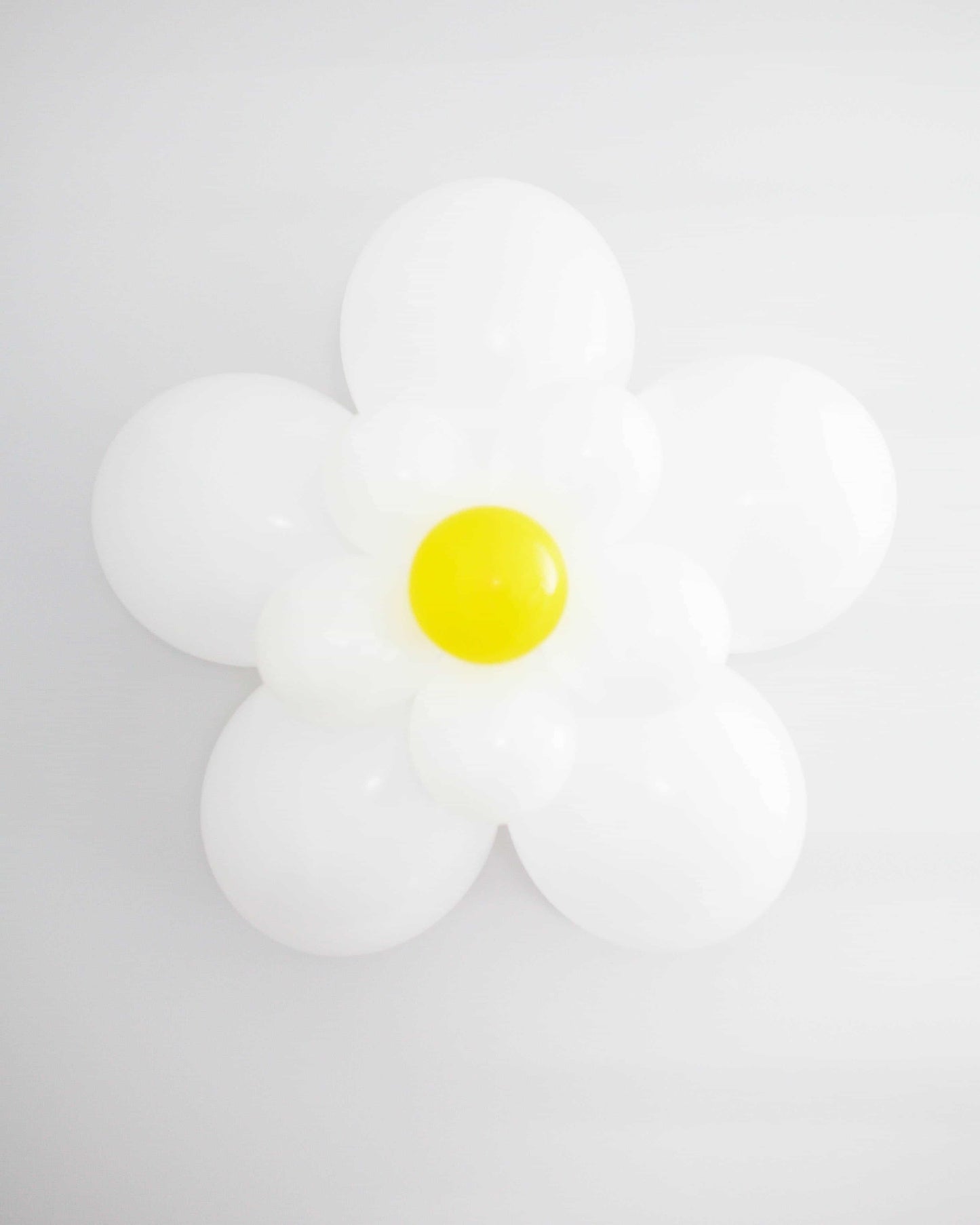 A vibrant white daisy with a yellow center, set against a soft gray background.