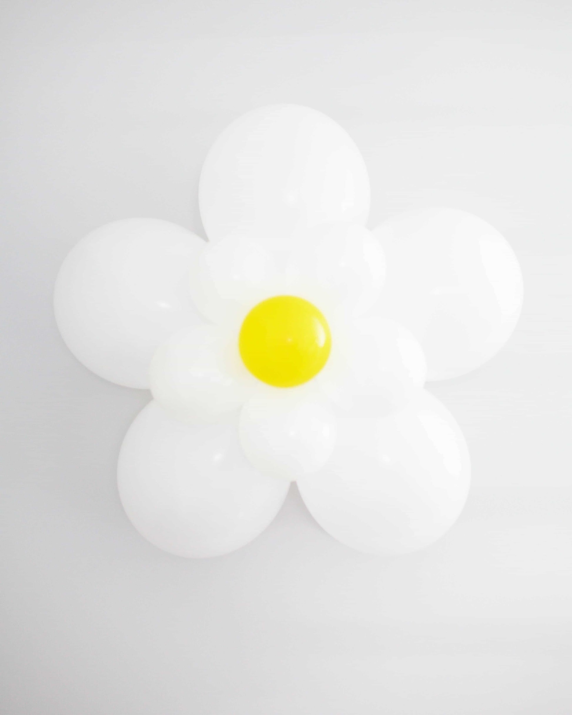A vibrant white daisy with a yellow center, set against a soft gray background.