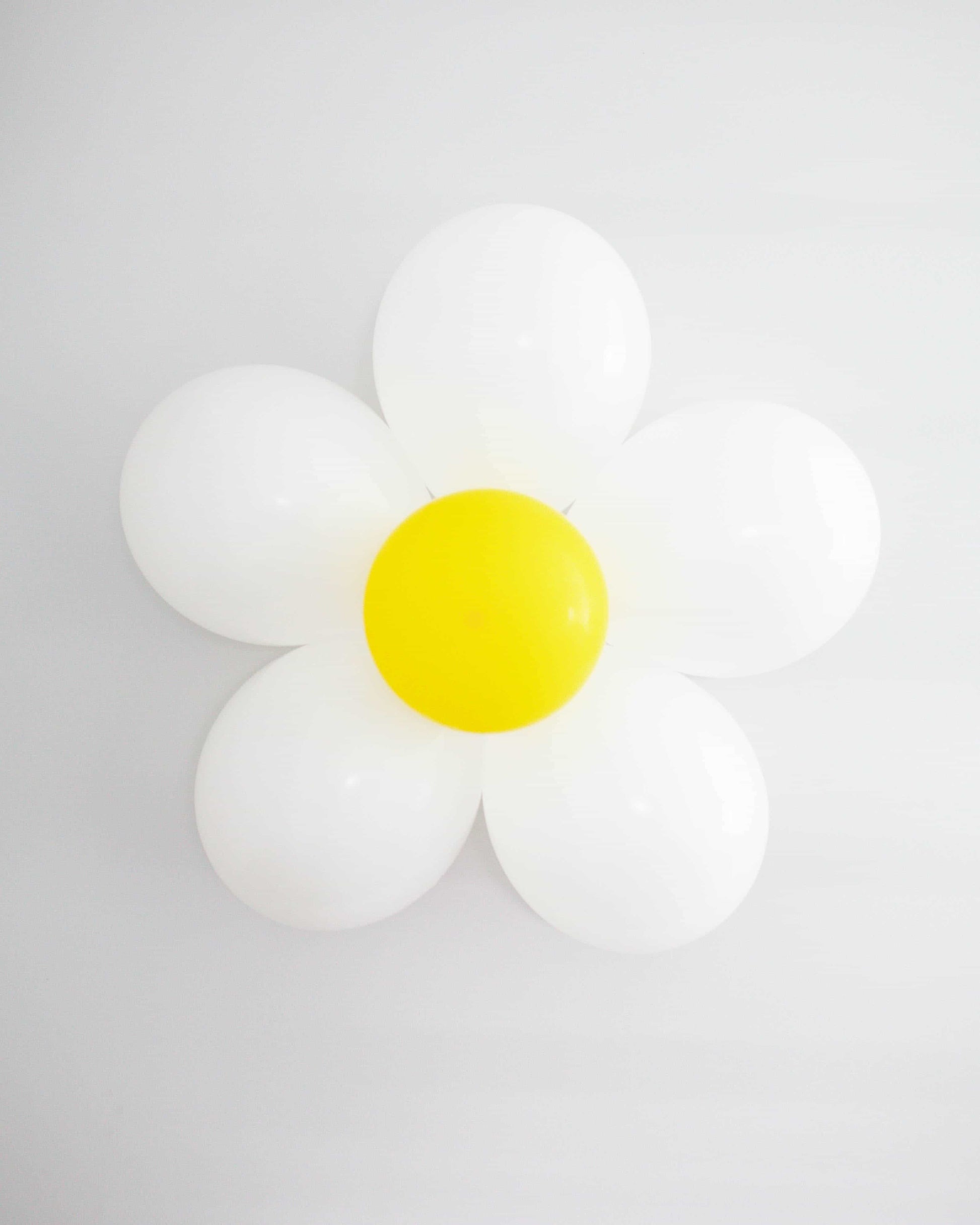 A large, cheerful daisy with white petals and a bright yellow center against a light background.