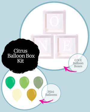 
            
                Load image into Gallery viewer, Citrus ONE Balloon Box Kit
            
        