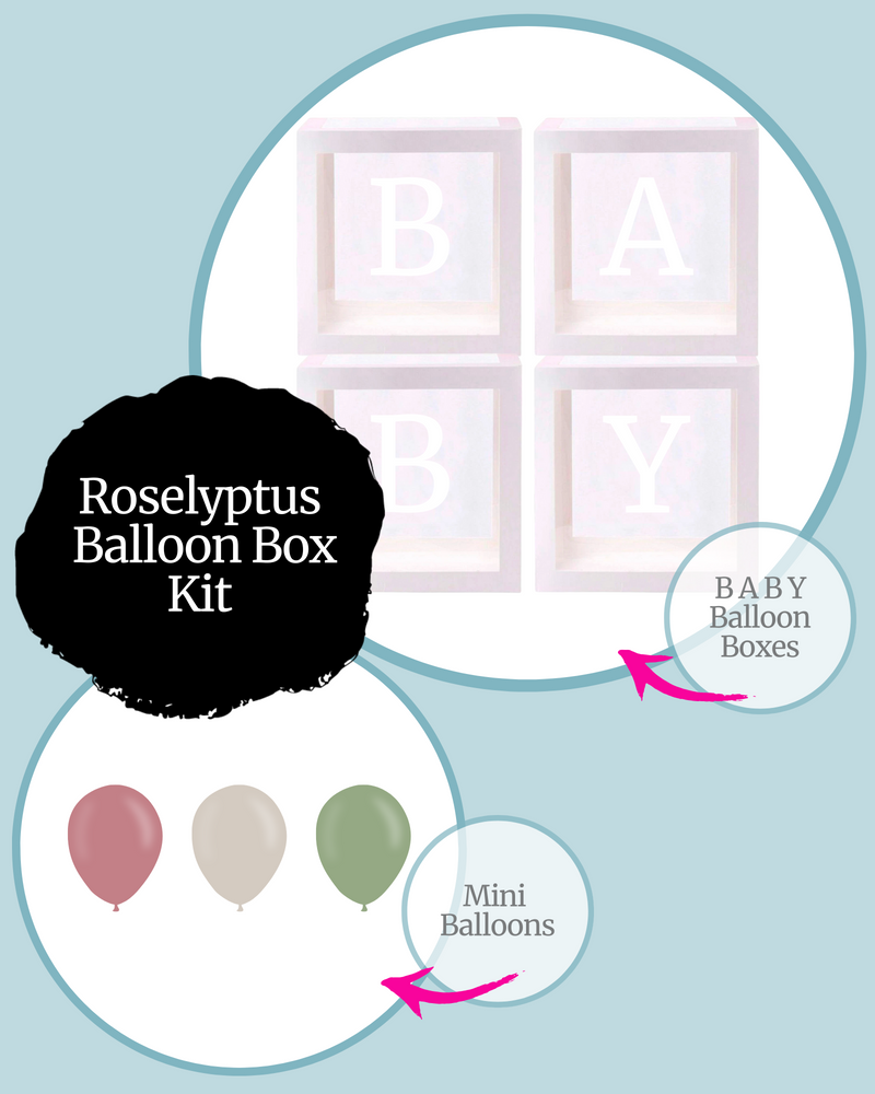 Roselyptus BABY Balloon Box Kit