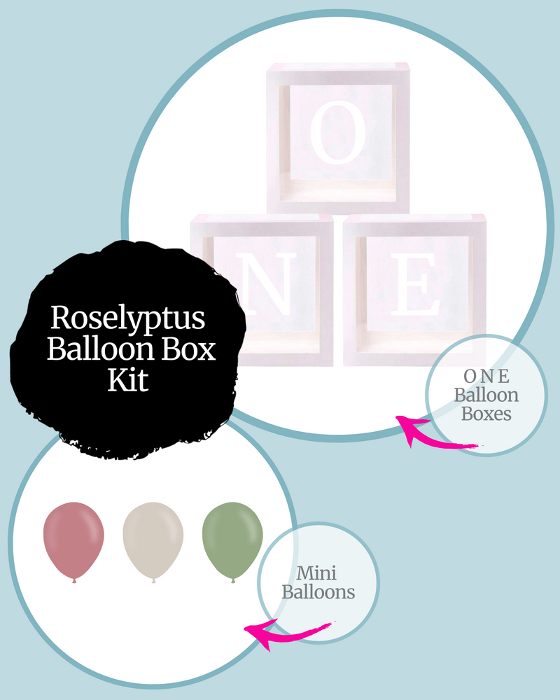 Roselyptus ONE Balloon Box Kit