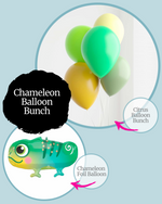 Chameleon Balloon Bunch Kit