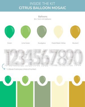 
            
                Load image into Gallery viewer, Citrus DIY Balloon Mosaic Kit
            
        