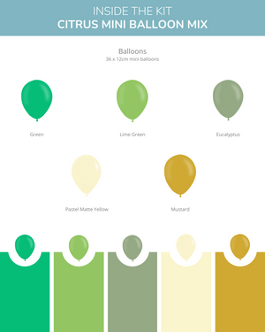 
            
                Load image into Gallery viewer, Citrus ONE Balloon Box Kit
            
        