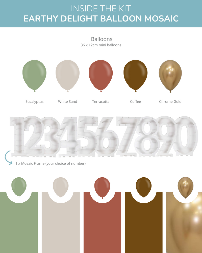 
            
                Load image into Gallery viewer, Earthy Delight DIY Balloon Mosaic Kit
            
        