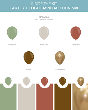 
            
                Load image into Gallery viewer, Earthy Delight BABY Balloon Box Kit
            
        