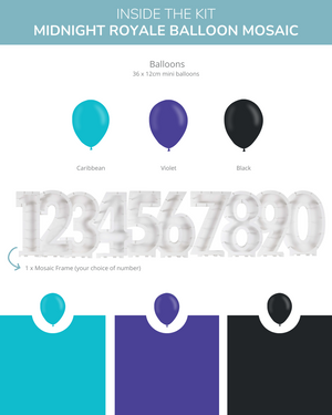 
            
                Load image into Gallery viewer, Midnight Royale DIY Balloon Mosaic Kit
            
        