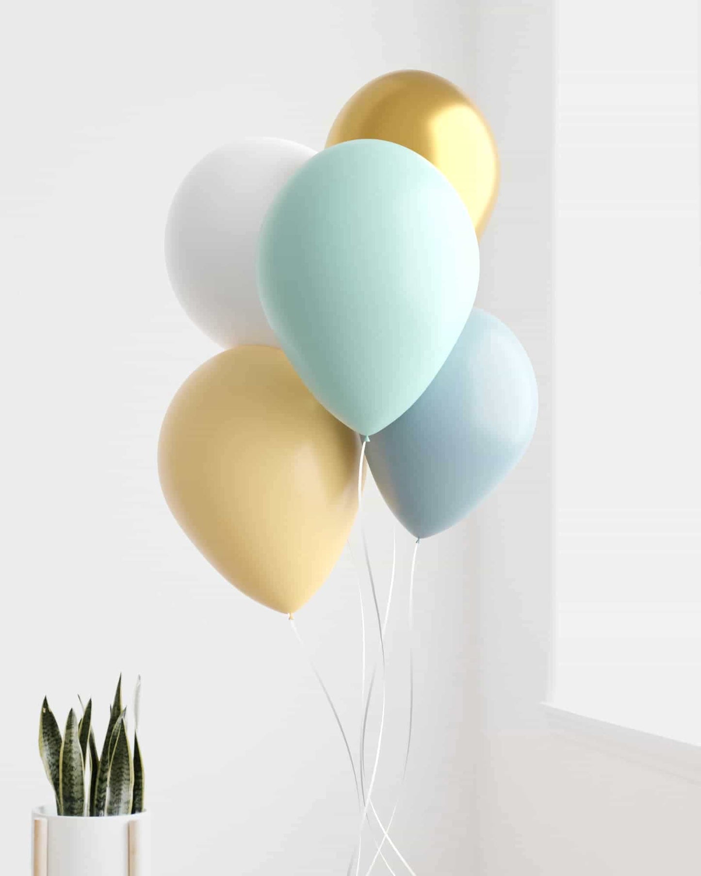 A cluster of colorful balloons in mint, gold, white, and blue, next to a potted plant against a bright wall.