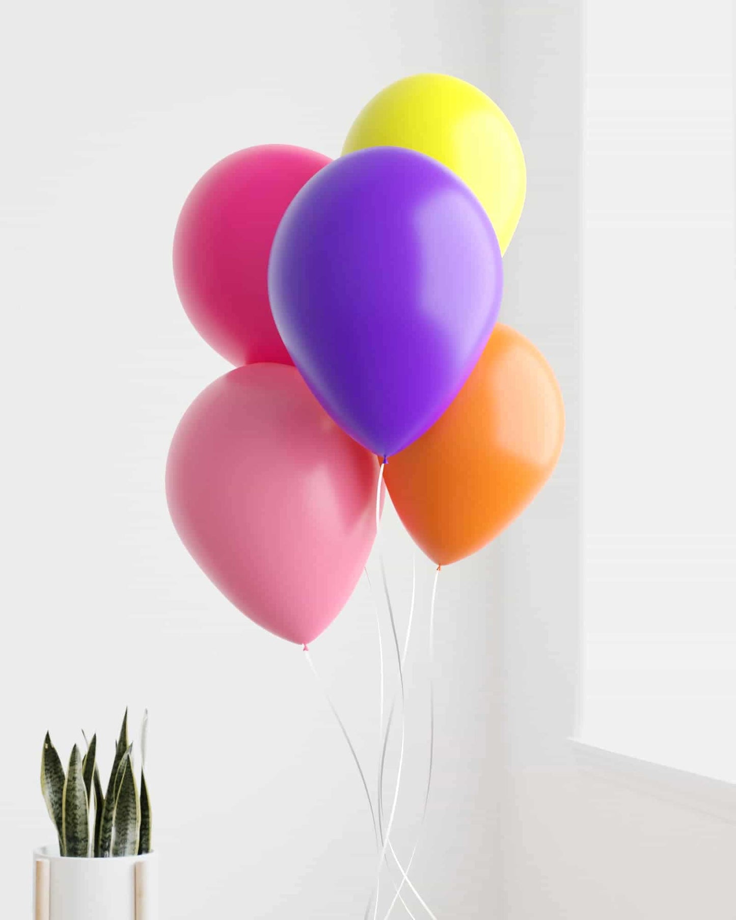 A vibrant bunch of balloons in pink, purple, yellow, orange, and red against a light background with a green plant.