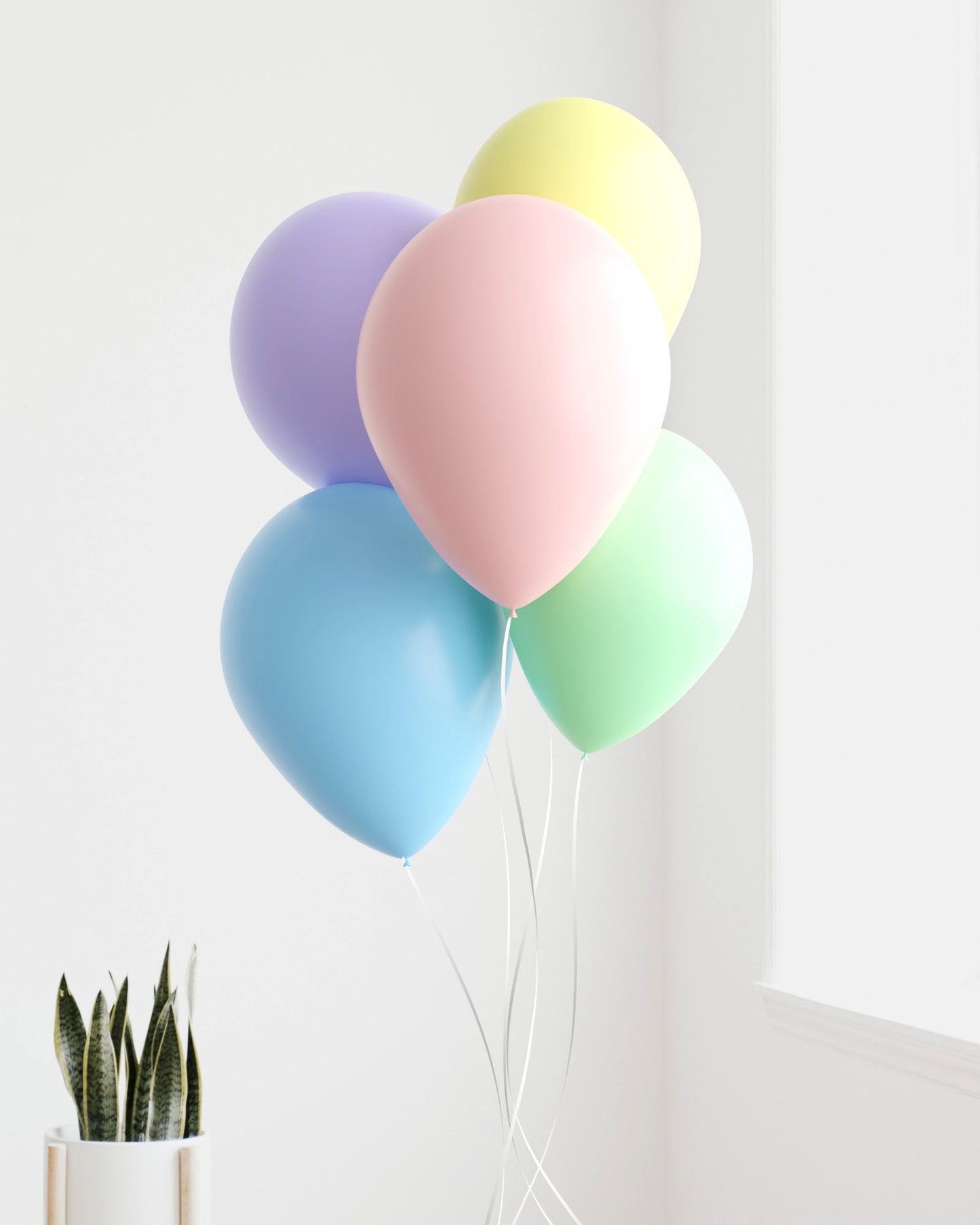 A cluster of pastel-colored balloons in soft hues of pink, blue, green, purple, and yellow, with a plant nearby.