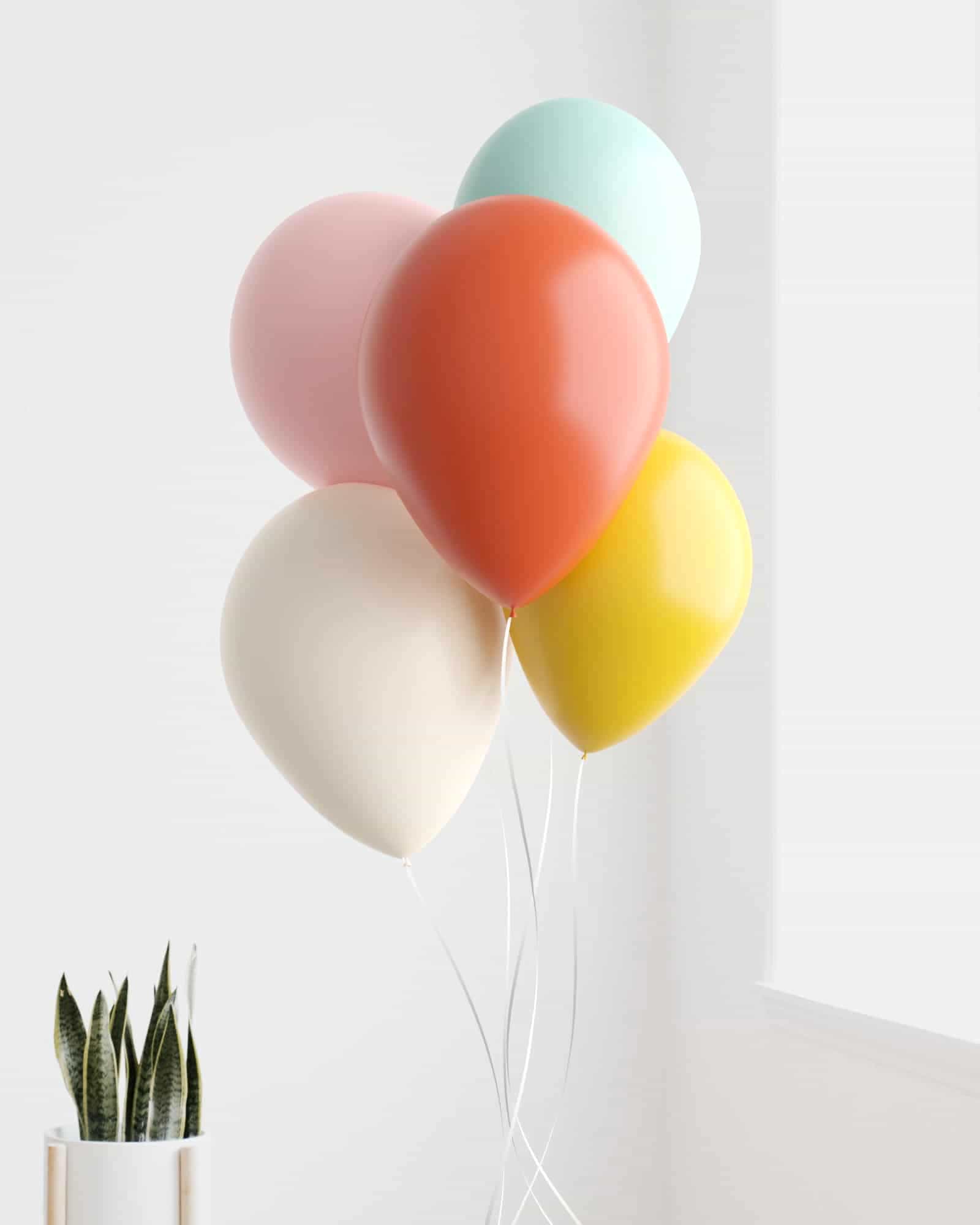 A bunch of colorful balloons in pastel shades, floating gracefully beside a sleek white planter with green leaves.