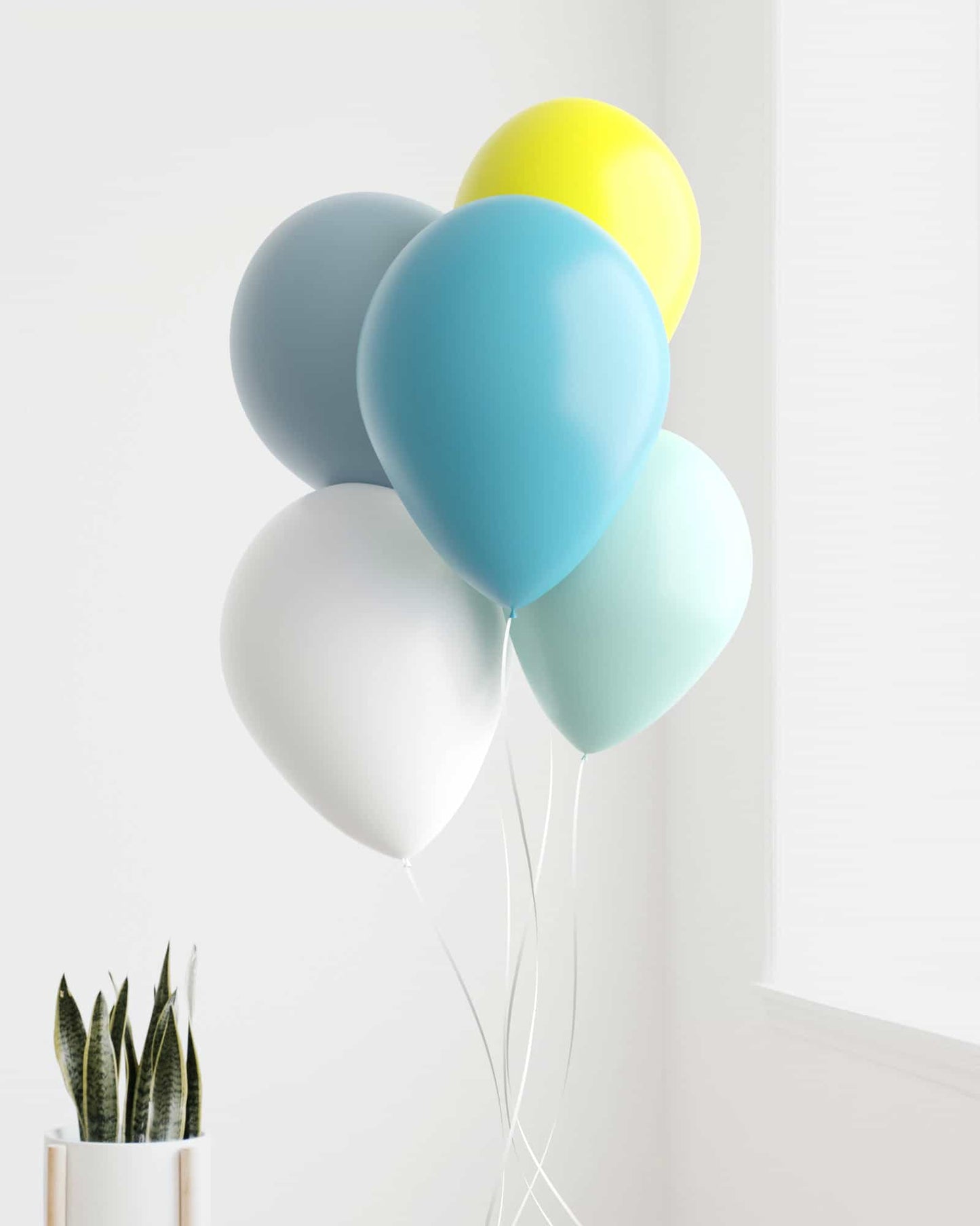 A cluster of colorful balloons in shades of blue, white, and yellow, beside a potted plant against a light backdrop.