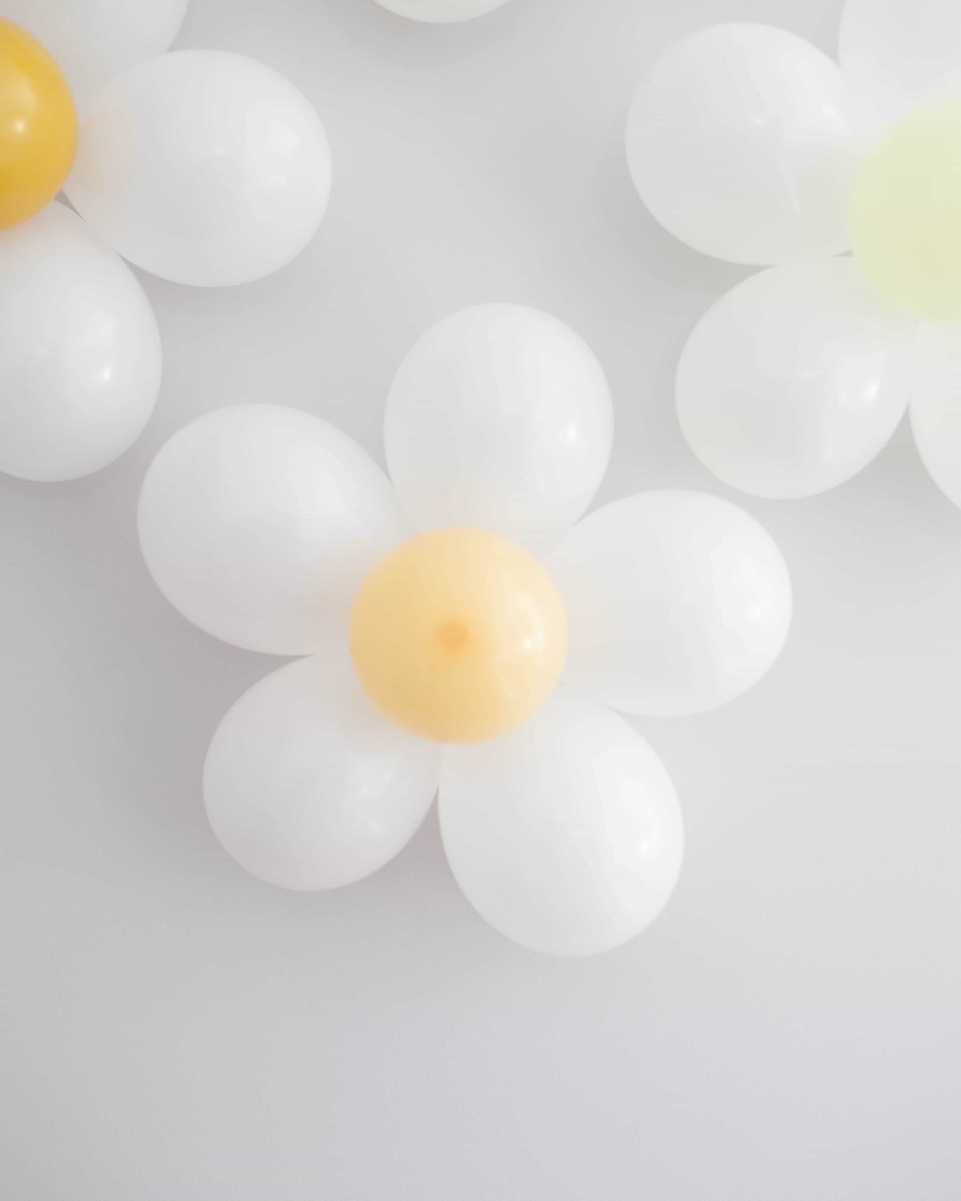 White and yellow balloon flowers arranged against a soft gray background, creating a playful and cheerful atmosphere.