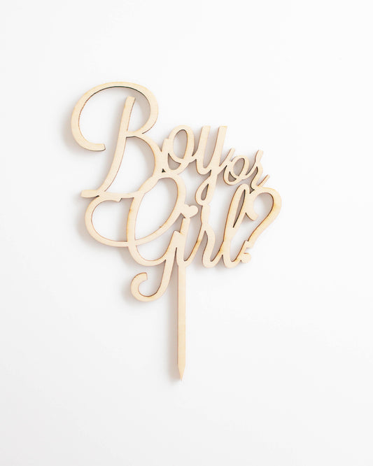 A decorative wooden sign with the playful question "Boy or Girl?" in an elegant script style against a white background.