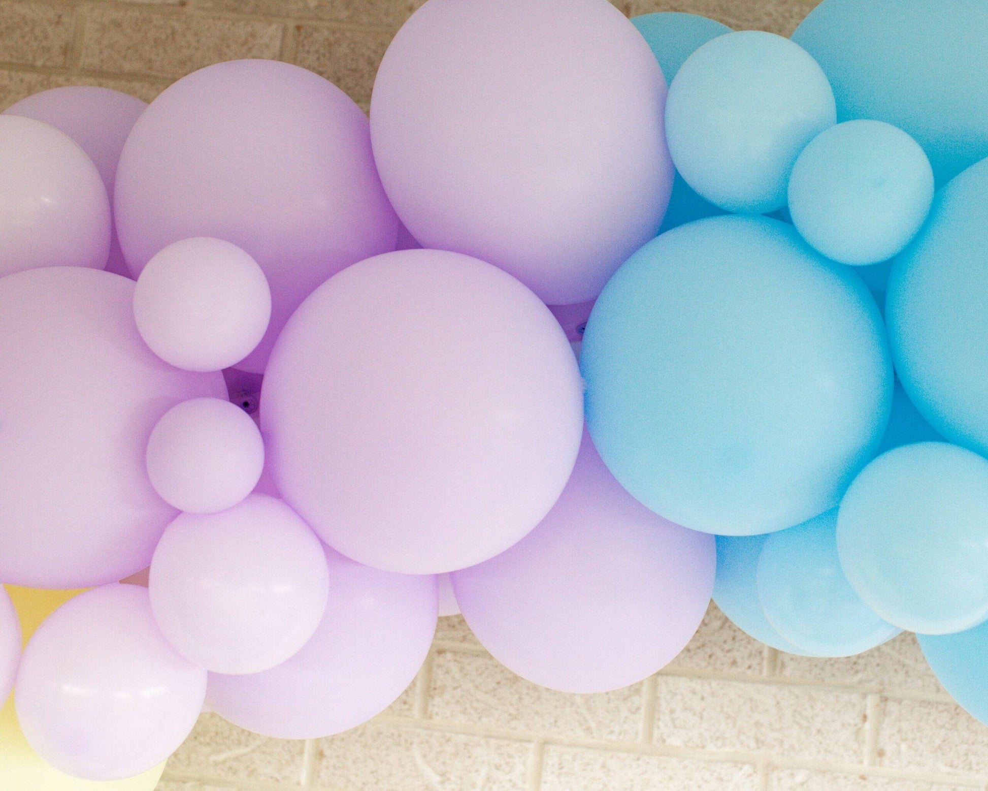 A colorful garland of pastel purple and blue balloons in varying sizes, creating a cheerful and festive atmosphere.