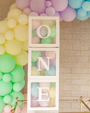 
            
                Load image into Gallery viewer, Transparent &amp;#39;ONE&amp;#39; White Balloon Boxes (3 Pack) - A Little Whimsy
            
        